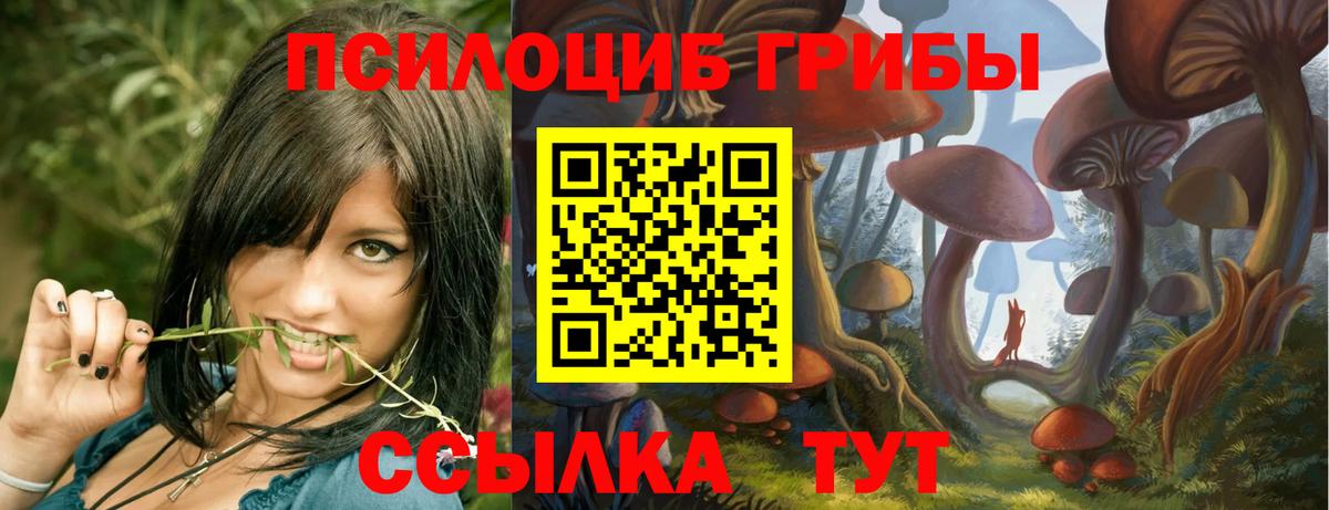 Железногорск  Псилоцибиновые грибы ЛСД  Вход с VPN 